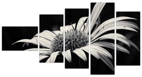 Čiernobiely obraz kvetu