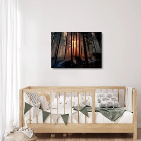 Sklenený obraz temného lesa (70x50 cm)