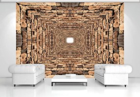 Fototapeta - Tunel 3D kameňov (254x184 cm)