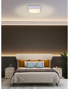 Immax NEO 07238L - LED Stmievateľné stropné svietidlo CANTO 22W/230V biela Tuya +DO