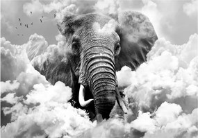 Fototapeta - Slon v oblakoch (čiernobiely) 400x280 + zadarmo lepidlo