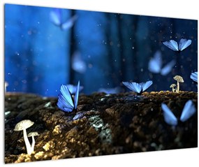 Obraz modrých motýľov (90x60 cm)
