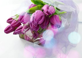 Obraz - kytice tulipánov (70x50 cm)