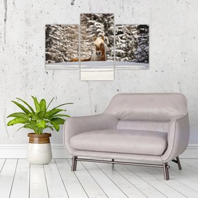 Obraz - Kôň v zimnej krajine (90x60 cm)