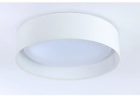 LED Stropné svietidlo GALAXY LED/24W/230V biela