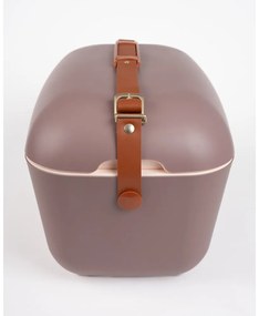 Hnedý chladiaci box 12 l Classic Gold – Polarbox