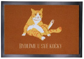 Rohožka Bývame u svojej mačky 40x60 cm, 40x60, oranžová, Mercury Flooring
