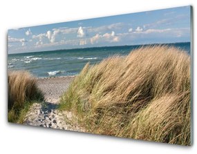 Skleneny obraz Pláž more tráva krajina 140x70 cm