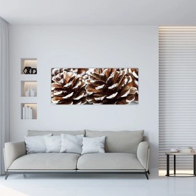 Obraz - Šišky (120x50 cm)