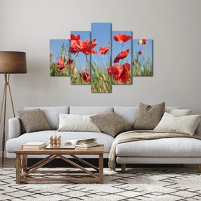 Obraz - Vlčie maky (150x105 cm)