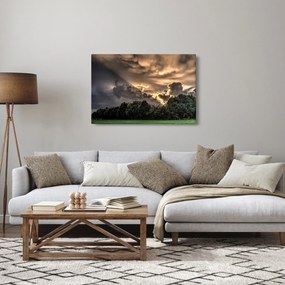 Obraz mračien a lesa (90x60 cm)