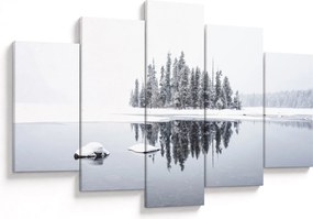 Obraz- Bolo bielo (150x105 cm)