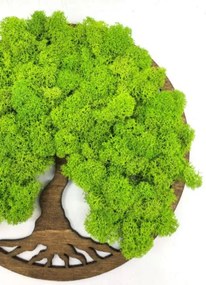 Strom na stenu z machu Cyrene 20 cm