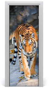 Samolepiace fototapety na dvere tiger 75x205 cm