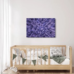 Obraz zasnežených stromov (90x60 cm)