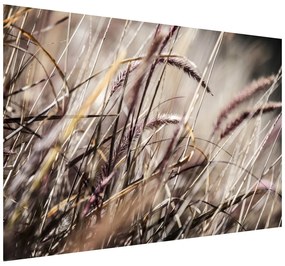 Gario Fototapeta V tráve - Nina Matthews Veľkosť: 200 x 135 cm, Materiál: Samolepiaca