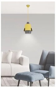 Luster na lanku FALUN 1xE27/40W/230V