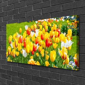 Obraz Canvas Tulipány kvety príroda 125x50 cm