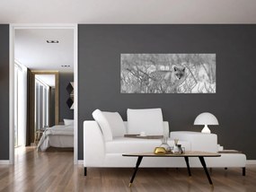 Obraz - Lišiak, čiernobiela (120x50 cm)