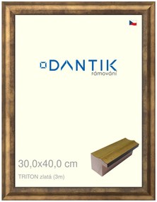 DANTIK rám na obraz 30x40 | TRITON zlatá (Plexi Čiré)