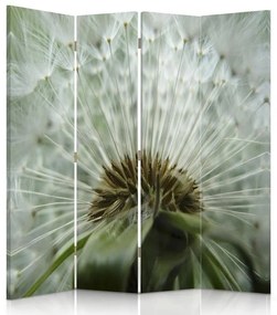 Gario Paraván Krásna púpava Rozmery: 145 x 170 cm, Prevedenie: Otočný paraván 360°