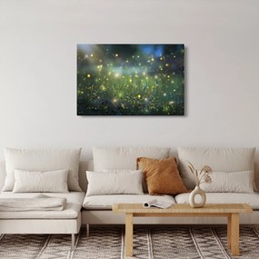 Obraz - Čarovná noc (90x60 cm)