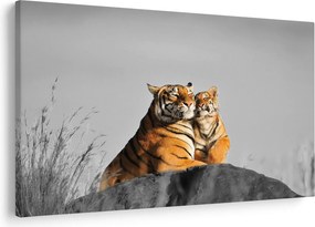 Obraz - Tigrice a jej mláďa, čiernobiely variant (90x60 cm)
