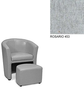 AVA HOLGER I Varianta: ROSARIO 453