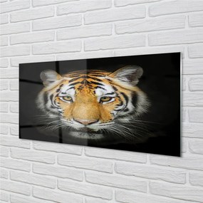 Sklenený obraz tiger 100x50 cm