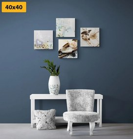 Set obrazov lucerničky v zaujímavej kombinácii - 4x 40x40