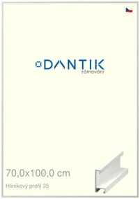 DANTIK rám na obraz 70x100 | ALU Dýha bílá (Plexi Čiré)