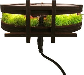 Stmievateľná LED stolová lampa s motívom Malého princa | Sentop LED0575-WENGE