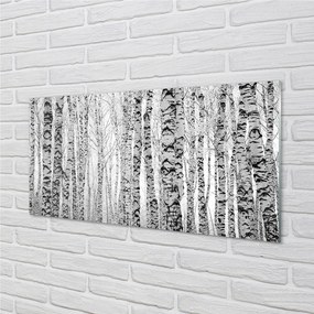Nástenný panel  Čierna a biela breza 140x70 cm