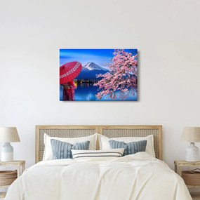 Obraz - Výhľad na vrchol, Japonsko (90x60 cm)