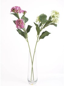 Autronic - Hydrangea, mix 2 farieb - UKA012