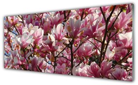 Obraz plexi Vetvy kvety rastlina 125x50 cm
