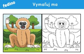 Omaľovánky – balík 2(20ks) – platený