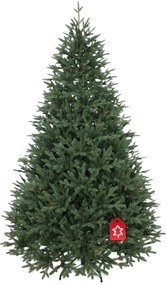 Smrek Kanadský 100% 210 cm