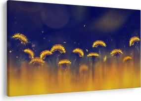 Obraz - Púpavy (90x60 cm)