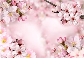 Samolepiaca fototapeta - Jarný čerešňový kvet 196x140