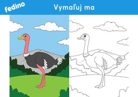 Omaľovánky – balík 1(20ks) – platený