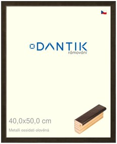 DANTIK rám na obraz 40x50 | Metalli oidati olověná (Plexi Čiré)