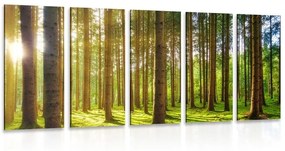 5-dielny obraz ráno v lese - 200x100
