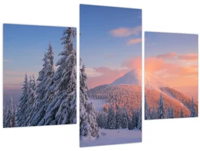 Obraz - Zimná krajina (90x60 cm)