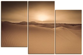 Obraz na plátne - Púšť Sahara 1131FD (120x80 cm)