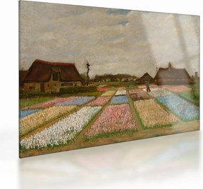 Sklenený obraz - Vincent van Gogh, Flower Beds in Holland, reprodukcia (70x50 cm)