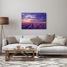Obraz levanduľového pole (90x60 cm)
