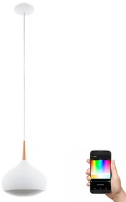 Eglo 97087 - LED RGBW Stmievateľné závesné svietidlo COMBA-C 1xLED/18W/230V