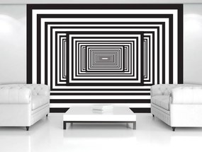 Fototapeta - Biely a čierny 3D tunel (254x184 cm)