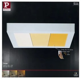 Paulmann 79801 - LED/13W Stropné svietidlo CARPO 230V 2300/2500/3000K